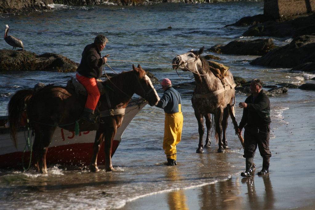 Fishermen at Horcon