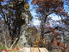 ..from the picnic table bench..