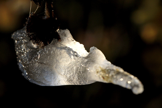 Lampe à glace