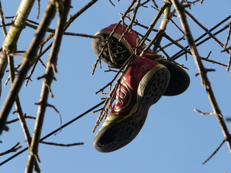 Hang em High