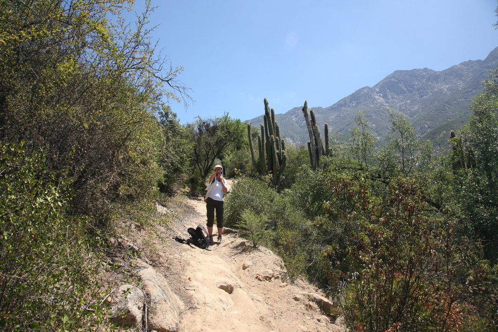 Belinda - Parque Nacional La Campana