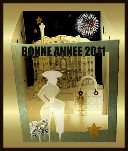 BONNE ANNEE 2011 A VOUS TOUS