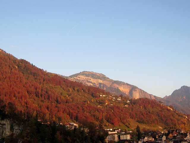 Herbstwald am Vierwaldstättersee