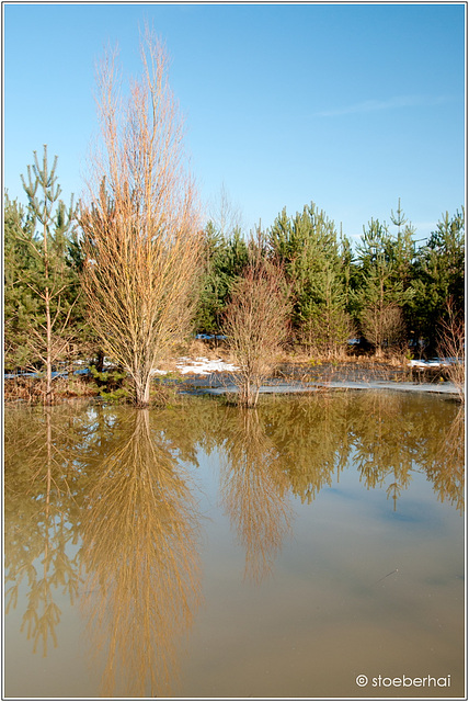 Snowmelt in former military training area Kitzingen