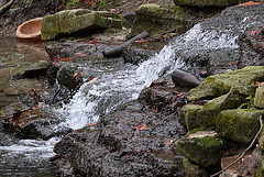 20110206 9592RAw [D~E] Wasserfall, Schloss Borbeck, Essen