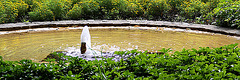 20100805 7403Aw [D~LIP] Brunnen, Kurpark, Bad Salzuflen