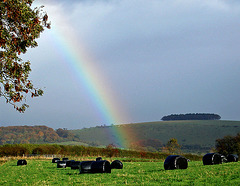 rainbow in Blackmore Vale