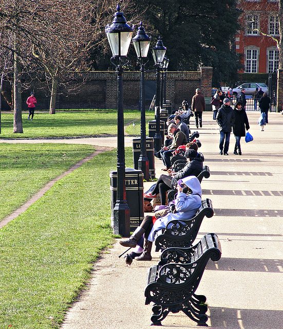 Sitting in the sun