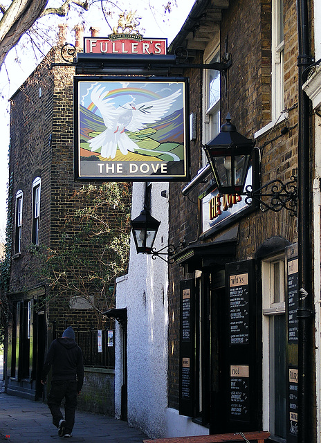 The Dove