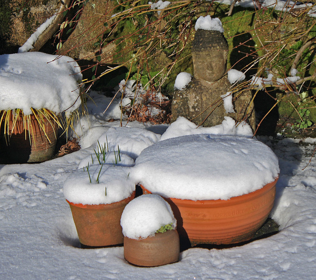 snow buddha