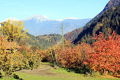 Blick aus dem Ultental, Südtirol