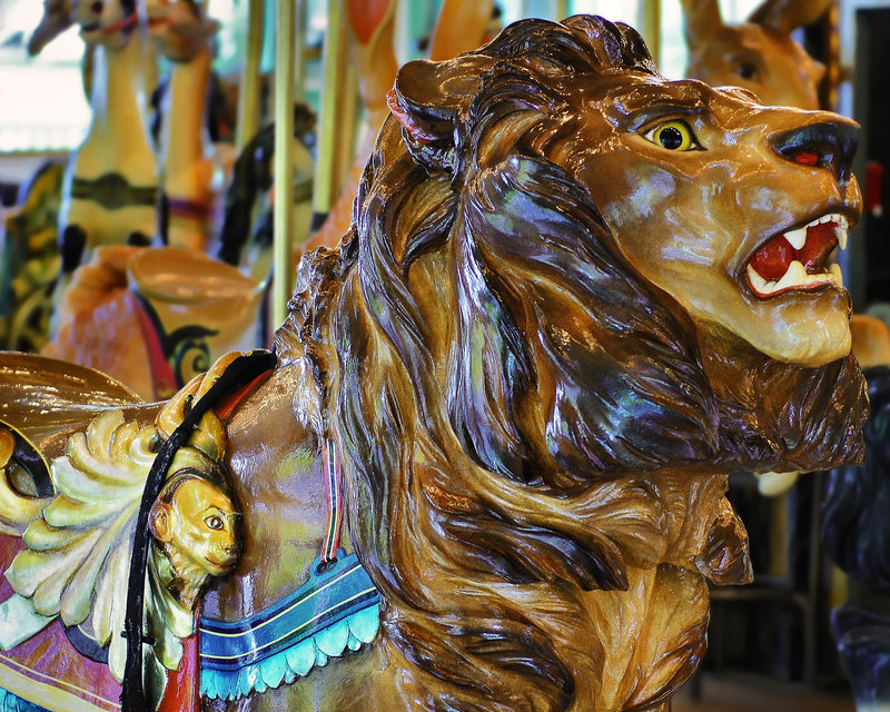 A Monkey on His Back – Glen Echo Park, Maryland