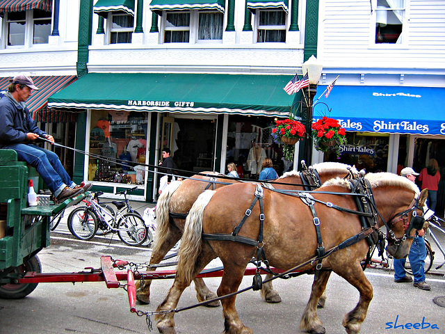 Mackinac Island Transportation