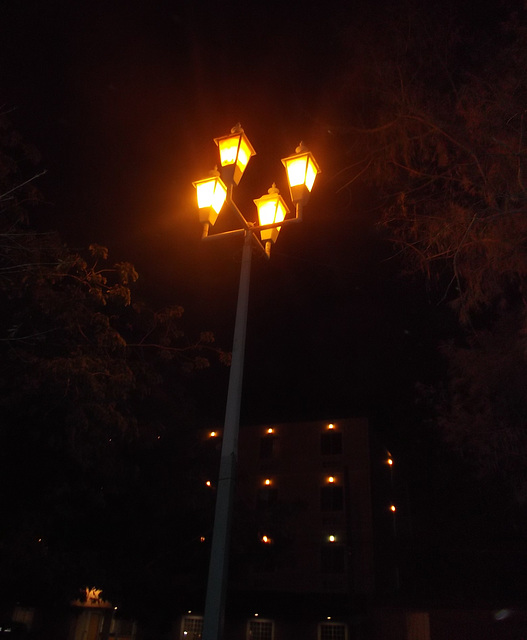 Quatuor luminaire dans la nuit mexicaine.