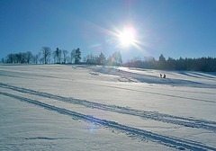 Spaziergang im Schnee