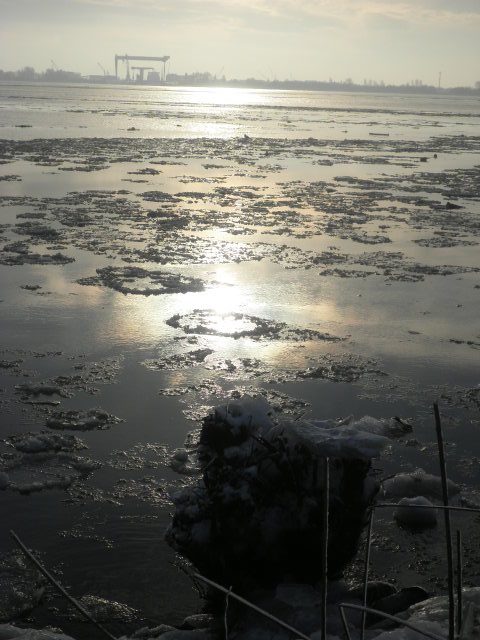 Eis auf der Elbe