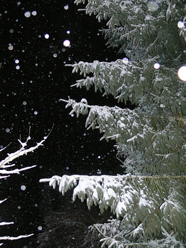 Christnacht 2010