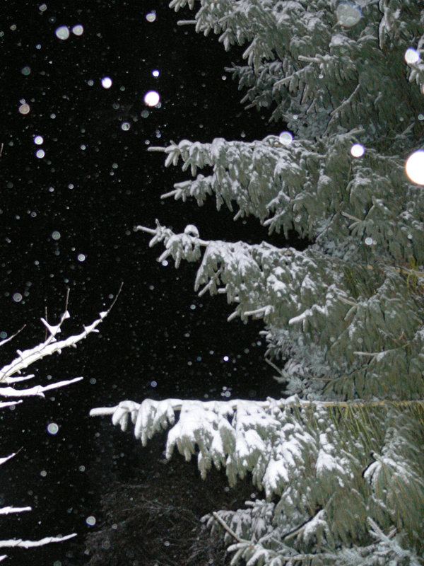 Christnacht 2010
