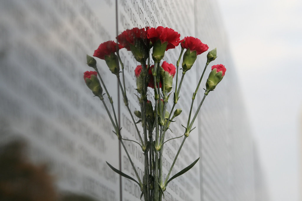 15.VietnamWarVeteransMemorial.WDC.14November2007