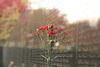 17.VietnamWarVeteransMemorial.WDC.14November2007