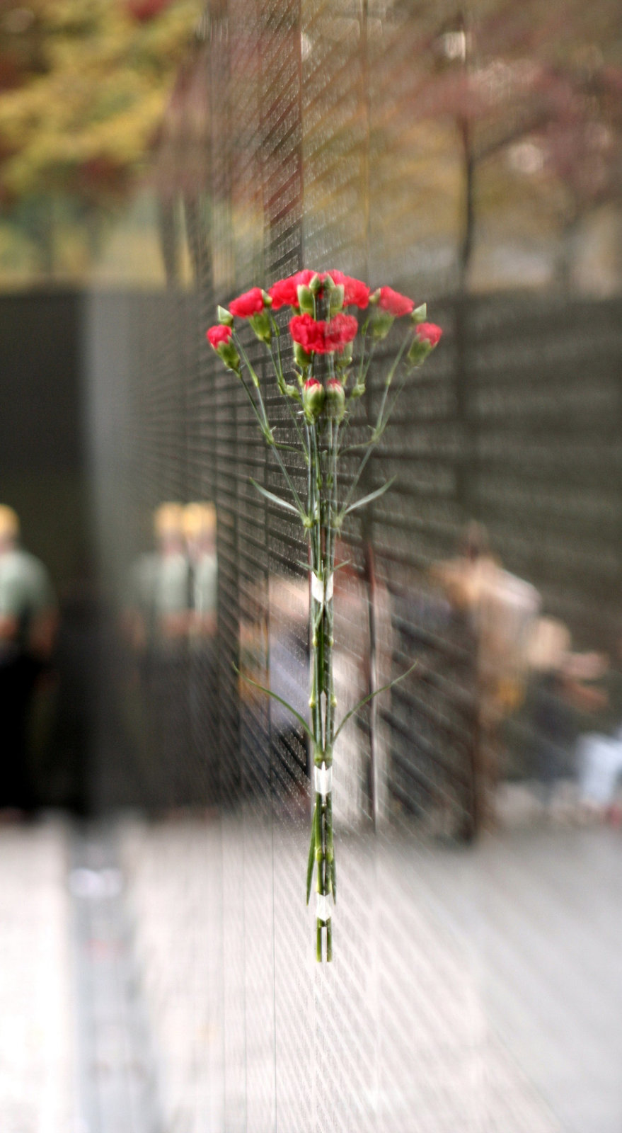 19.VietnamWarVeteransMemorial.WDC.14November2007