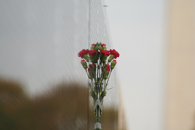 22.VietnamWarVeteransMemorial.WDC.14November2007