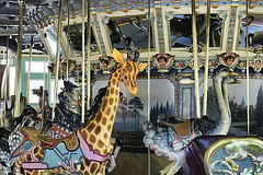 Even Carousel Animals Deserve a Day Off – Glen Echo Park, Maryland