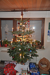 Bild 004