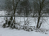 Winter im Regental