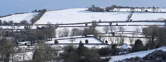 snowy landscape