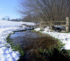 stream through snow