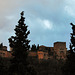 Alhambra. Granada 1