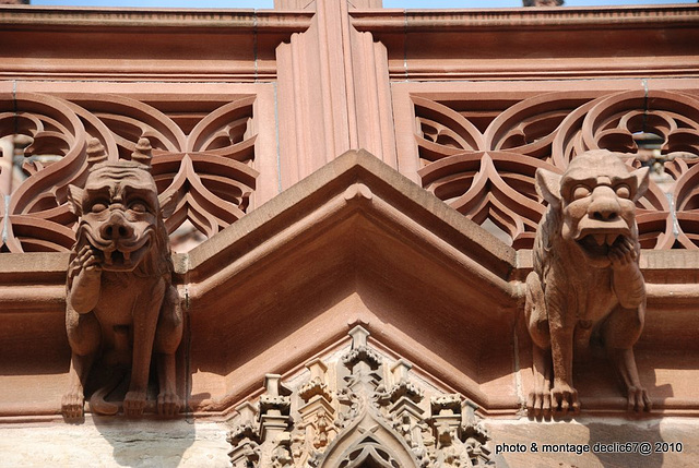 Strasbourg :la Cathédrale 63 gargouilles