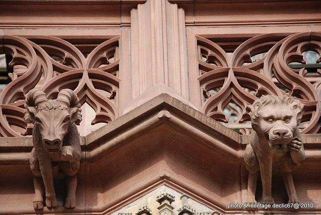 Strasbourg :la Cathédrale 64 gargouilles