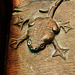 edlesborough c15 toad supporter on misericord