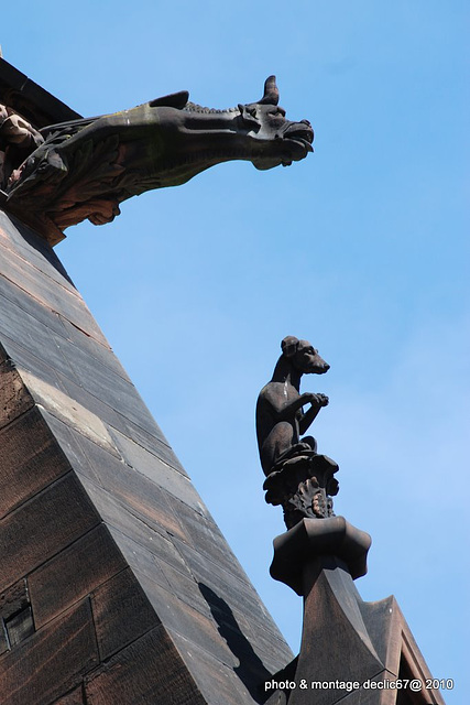 Strasbourg :la Cathédrale 69 gargouilles