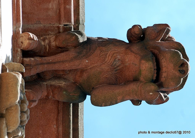 Strasbourg :la Cathédrale 70 gargouilles