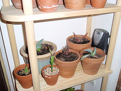 étagéres PA020412