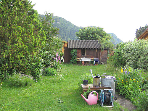 Blick zur Hütte
