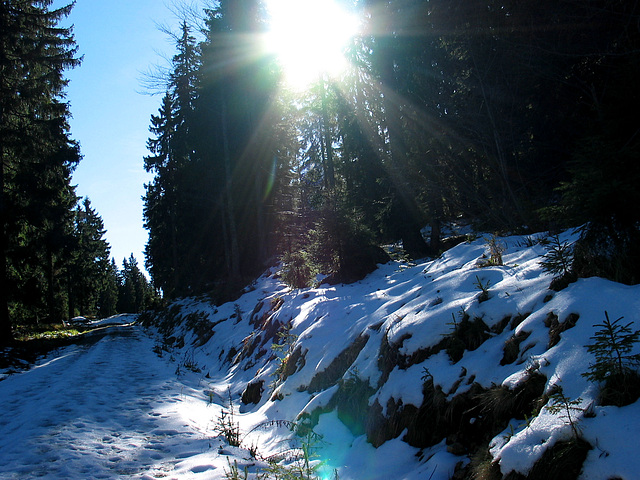 meine 1. Schneewanderung im Herbst 2010