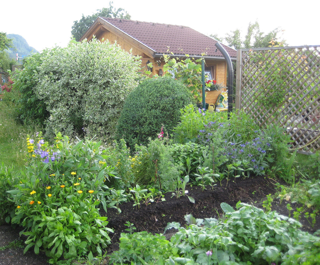Blick über den Gemüsegarten