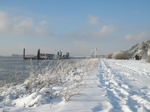 Winterliches Elbufer