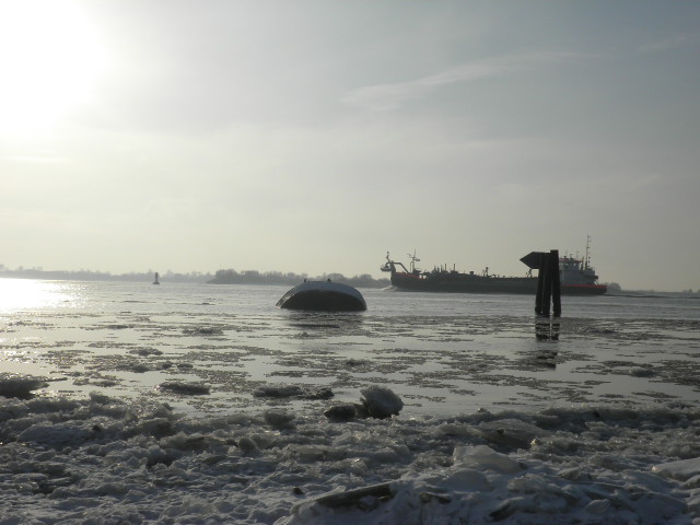 Winterstimmung an der Elbe