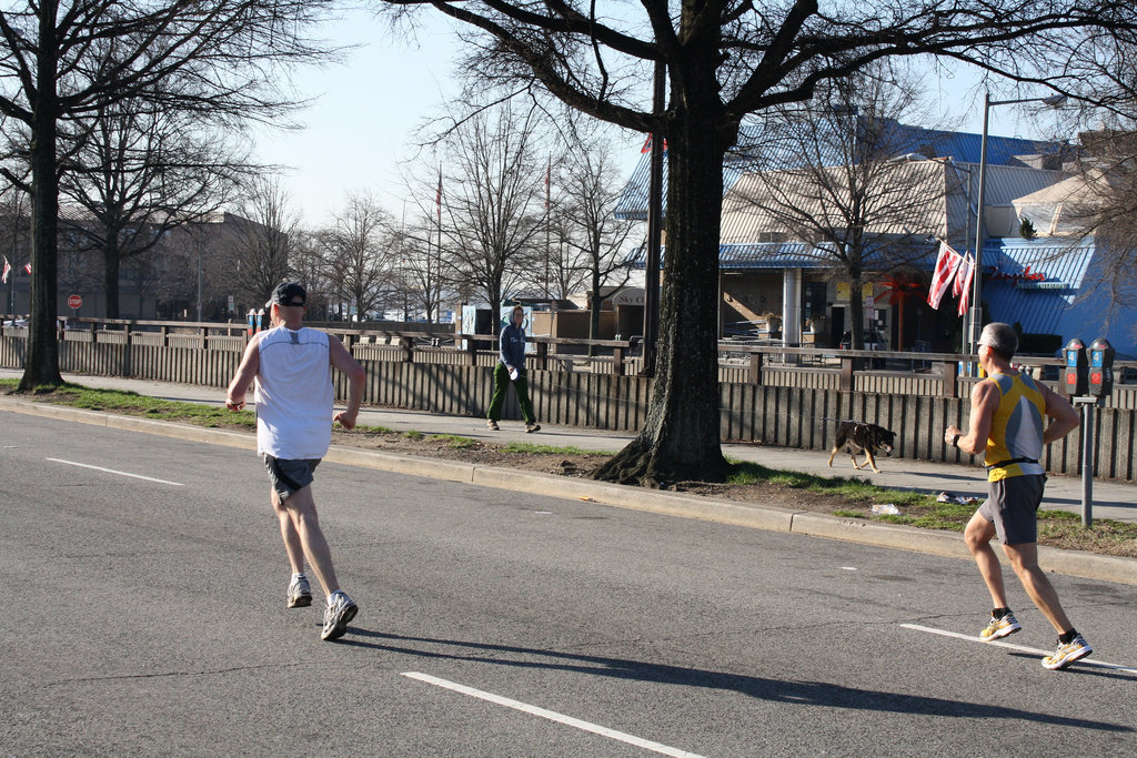 16.5thNationalMarathon.MaineAvenue.SW.WDC.20March2010