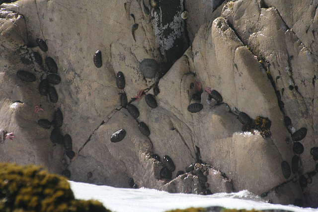 Seaside rocks near Antafogasta