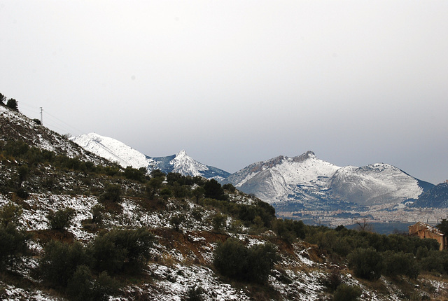 Montañas nevadas. La Guardia de Jaén.