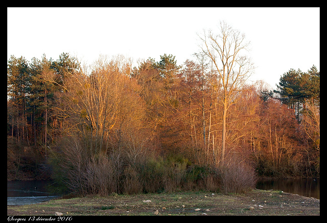 Sorques 13 décembre 2010 DSC03469