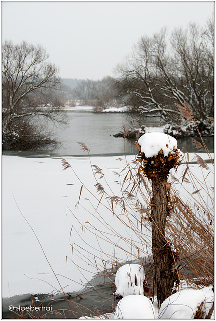 Winter at river Main