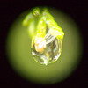 Waterdrop