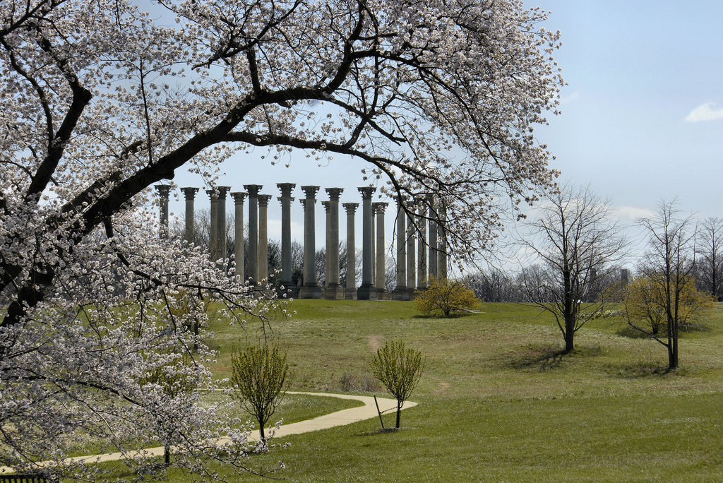 Old Capitol Columns #1 – National Arboretum, Washington D.C.